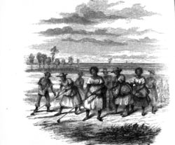 Slaves Planting Rice. Image courtesy of the North Carolina State Archives, call #: N_77_7_4, Raleigh, NC. Slaves Planting Rice. Image courtesy of the North Carolina State Archives, call #: N_77_7_4, Raleigh, NC.