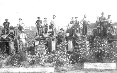 Cotton picking machinery a success; Price Campbell Machines; 2 businessmen and workers pose with 4 machines, near Hamlet, NC, c. 1913; photo by Frank Marchant, Hamlet, NC. From the General Negative Collection, North Carolina State Archives, call #: N_92_7_31, Raleigh, NC. Cotton picking machinery a success; Price Campbell Machines; 2 businessmen and workers pose with 4 machines, near Hamlet, NC, c. 1913; photo by Frank Marchant, Hamlet, NC. From the General Negative Collection, North Carolina State Archives, call #: N_92_7_31, Raleigh, NC.