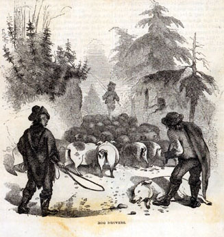"Hog drovers in western North Carolina. Illustration from Harper’s New Monthly Magazine , October 1857." Image cnline from LearnNC. 