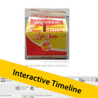 State Symbols Timeline State Symbols Timeline