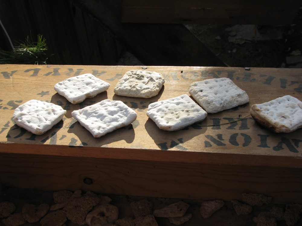 Image of hardtack scattered across a wooden surface. 