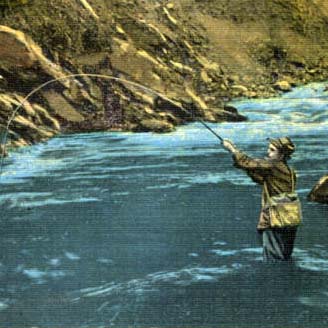 Image of a man fly fishing. Clicking this image will take you to the Featured State Adoption page.
