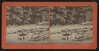 "Confederate dead gathered for burial at the southwestern edge of the Rose woods, Gettysburg, Pa., July 5, 1863."