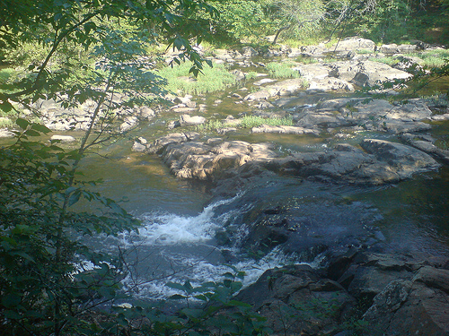 "Eno River State Park, NC." Eno State Park was the home of the Eno Indians. Photo courtesy of Flikr user airborneshodan, uploaded on June 7, 2008. 