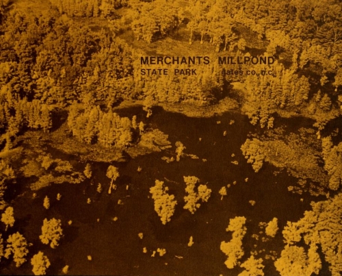 Overhead view of Merchants Millpond. Sepia print. There is a lake in the middle of a large forest. Merchants Millpond is printed over the front of the photo.