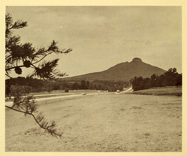 Pilot Mountain. Sepia print. The mountain is in the background and a grassy area and a tree are in the foreground.