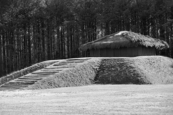 The reconstructed mound and temple at Town Creek Indian Mound State Historic Site. Photograph courtesy of North Carolina Division of Tourism, Film, and Sports Development.