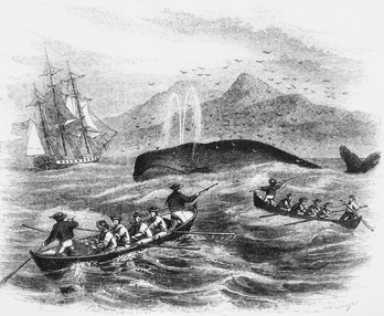 An 1856 engraving from Harper's Monthly showing small whaling boats similar to those launched by crews off the Outer Banks in the nineteenth century. UNC-Chapel Hill Library.