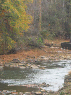 Paceolet River, Spartanburg, SC. Image courtesy of Flickr user Becky Pittman. 