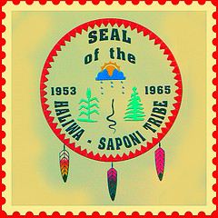 Image result for Saponi Tribe