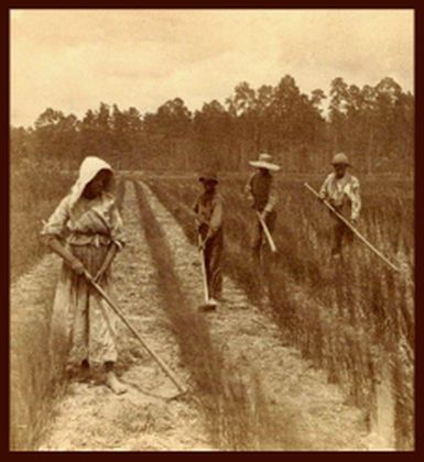 Slave clandestine economy refers to a variety of private agricultural and 