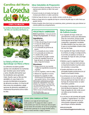 Datos e información nutricional sobre verduras cocidas.