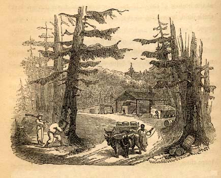 An engraving from Frederick Law Olmsted's 1856 book A Journey in the Seaboard Slave States