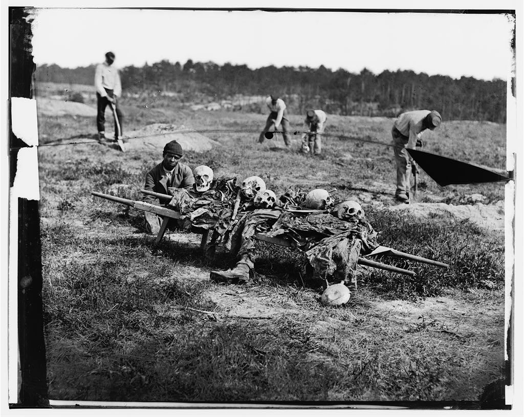 At Cold Harbor, Virginia, African American men gather up the bones of Civil War soldiers killed in battle.