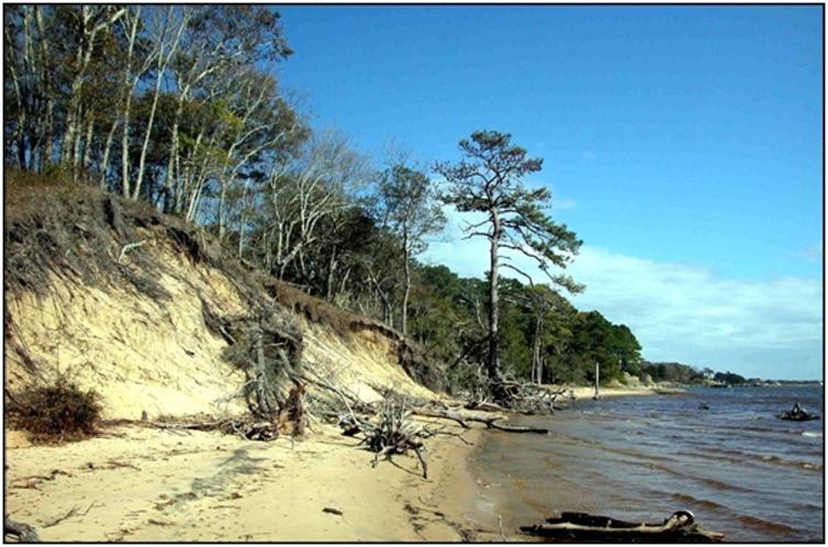 <img typeof="foaf:Image" src="http://statelibrarync.org/learnnc/sites/default/files/images/1_26_0.jpg" width="754" height="498" alt="Nags Head Woods" title="Nags Head Woods" /> <img typeof="foaf:Image" src="http://statelibrarync.org/learnnc/sites/default/files/images/1_26_0.jpg" width="754" height="498" alt="Nags Head Woods" title="Nags Head Woods" />