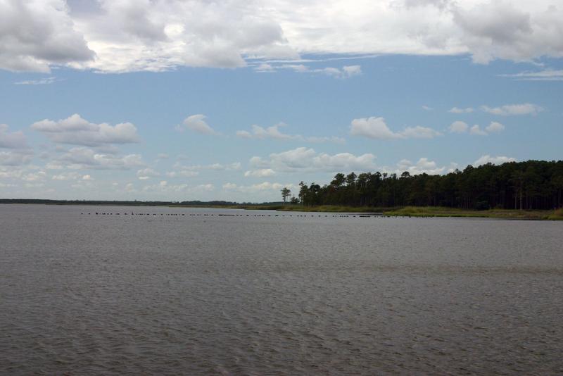 <img typeof="foaf:Image" src="http://statelibrarync.org/learnnc/sites/default/files/images/217607744_e47abd9640_b.jpg" width="1024" height="683" alt="Pamlico Sound" title="Pamlico Sound" /> <img typeof="foaf:Image" src="http://statelibrarync.org/learnnc/sites/default/files/images/217607744_e47abd9640_b.jpg" width="1024" height="683" alt="Pamlico Sound" title="Pamlico Sound" />
