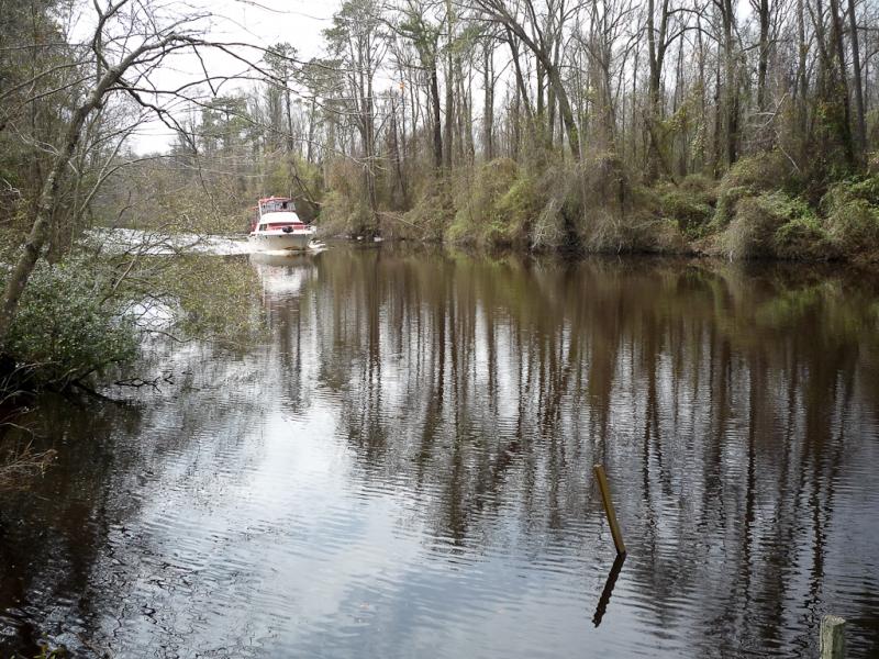 Dismal Swamp Canal Dismal Swamp Canal. There is a wide waterway with a boat traveling across it. There are marsh trees and grasses grown on the banks. The sky is cloudy.