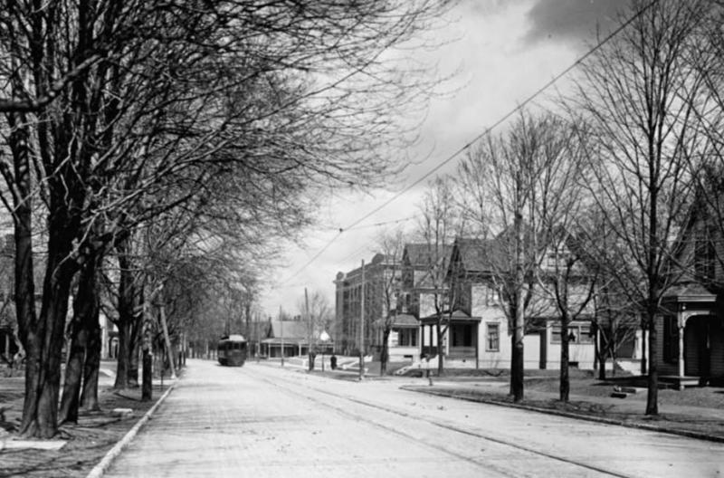 A streetcar on a residential avenue with trees growing alongside. 