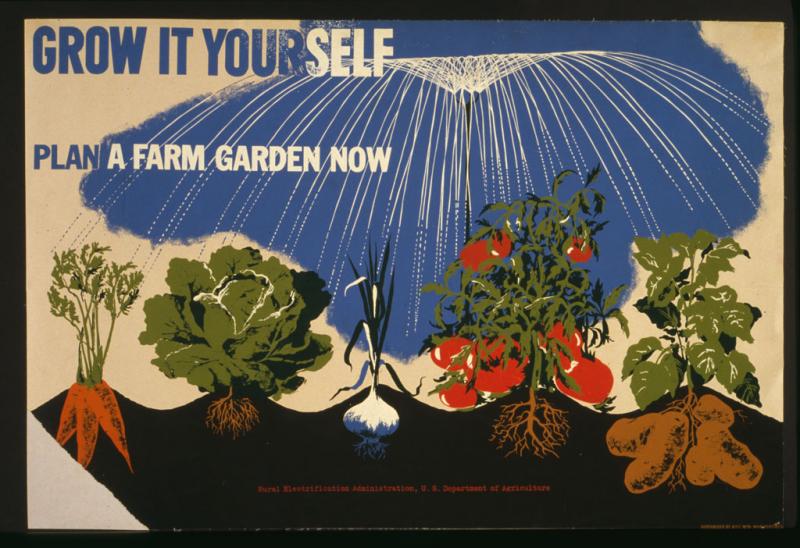 Grow it yourself: Plan a farm garden now
