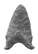 <img typeof="foaf:Image" src="http://statelibrarync.org/learnnc/sites/default/files/images/L301.jpg" width="134" height="190" alt="Hardaway spear point from Stanly County, NC" title="Hardaway spear point from Stanly County, NC" />