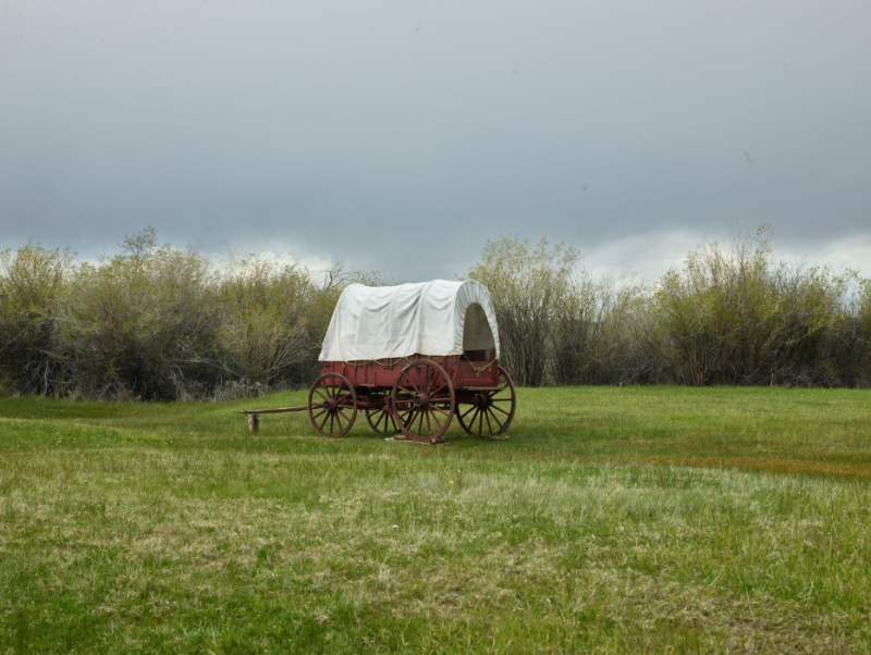 Covered wagon in a field. It is a cloudy day and there are trees in the background. The wagon canopy is white and the carriage is brown. 
