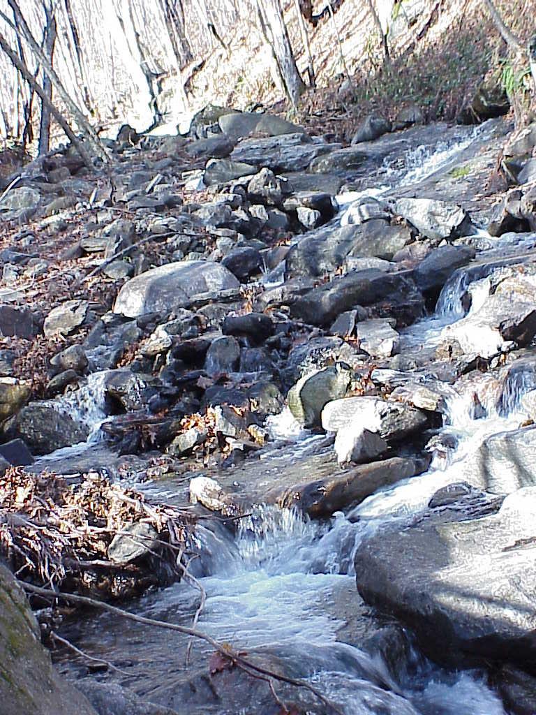<img typeof="foaf:Image" src="http://statelibrarync.org/learnnc/sites/default/files/images/creek_elevated_roan.jpg" width="768" height="1024" alt="Creek at middle elevations-Roan Highlands" title="Creek at middle elevations-Roan Highlands" />