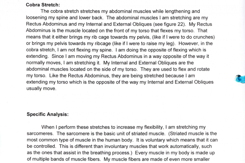 <img typeof="foaf:Image" src="http://statelibrarync.org/learnnc/sites/default/files/images/doc_image-stretches.png" width="1024" height="682" alt="Student work sample: Stretches" title="Student work sample: Stretches" />