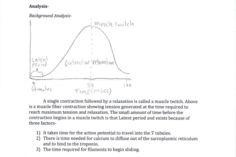 <img typeof="foaf:Image" src="http://statelibrarync.org/learnnc/sites/default/files/images/drawing-muscle.png" width="1013" height="675" alt="Student work sample: Muscle" title="Student work sample: Muscle" /> <img typeof="foaf:Image" src="http://statelibrarync.org/learnnc/sites/default/files/images/drawing-muscle.png" width="1013" height="675" alt="Student work sample: Muscle" title="Student work sample: Muscle" />