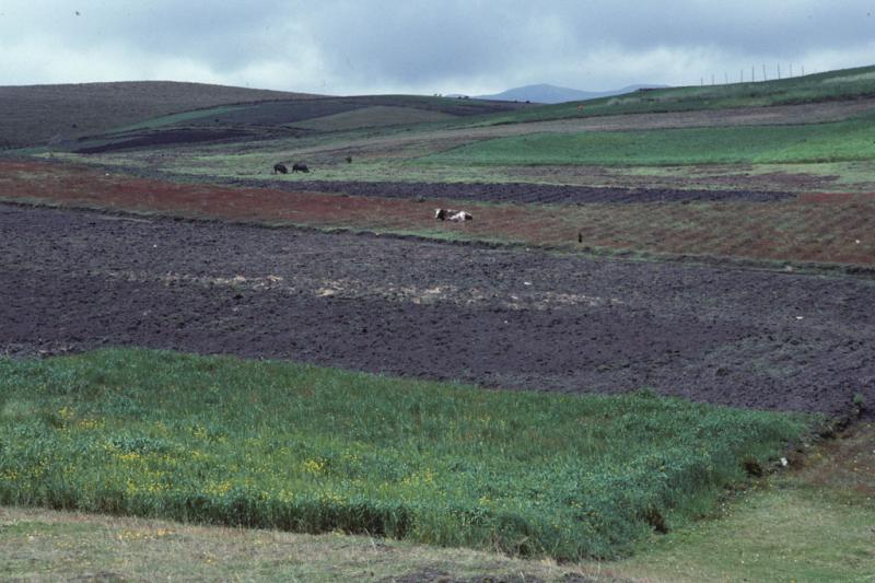 <img typeof="foaf:Image" src="http://statelibrarync.org/learnnc/sites/default/files/images/ecuador_011.jpg" width="1024" height="682" alt="Farmland in Ecuador" title="Farmland in Ecuador" /> <img typeof="foaf:Image" src="http://statelibrarync.org/learnnc/sites/default/files/images/ecuador_011.jpg" width="1024" height="682" alt="Farmland in Ecuador" title="Farmland in Ecuador" />