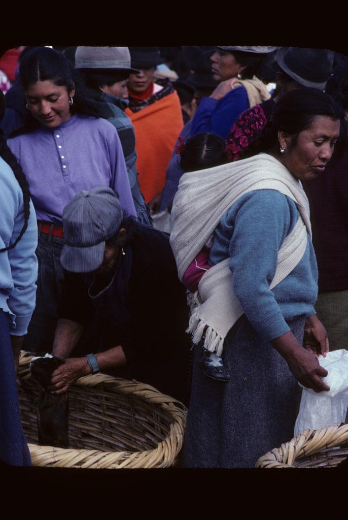 <img typeof="foaf:Image" src="http://statelibrarync.org/learnnc/sites/default/files/images/ecuador_219.jpg" width="686" height="1024" /> <img typeof="foaf:Image" src="http://statelibrarync.org/learnnc/sites/default/files/images/ecuador_219.jpg" width="686" height="1024" />