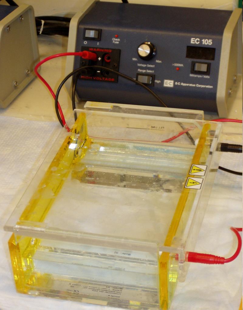 <img typeof="foaf:Image" src="http://statelibrarync.org/learnnc/sites/default/files/images/gel_electrophoresis_apparatus.jpg" width="1476" height="1886" alt="Gel electrophoresis box" title="Gel electrophoresis box" />