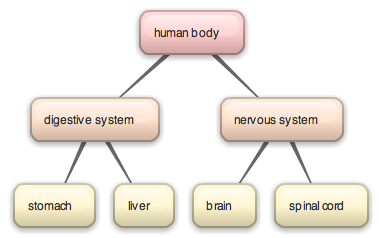 <img typeof="foaf:Image" src="http://statelibrarync.org/learnnc/sites/default/files/images/human_body_map.png" width="379" height="238" alt="Human body concept map" title="Human body concept map" />