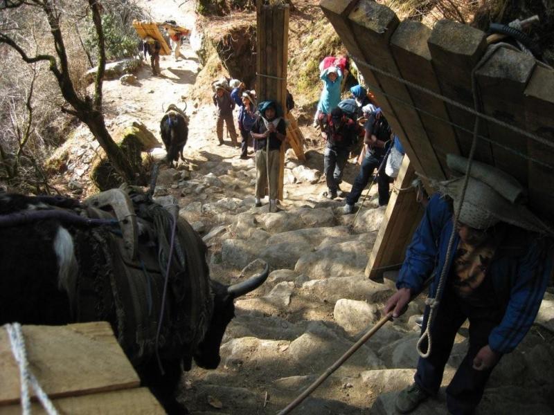 <img typeof="foaf:Image" src="http://statelibrarync.org/learnnc/sites/default/files/images/img_0090.jpg" width="1024" height="768" alt="Going to the Namche market" title="Going to the Namche market" /> <img typeof="foaf:Image" src="http://statelibrarync.org/learnnc/sites/default/files/images/img_0090.jpg" width="1024" height="768" alt="Going to the Namche market" title="Going to the Namche market" />