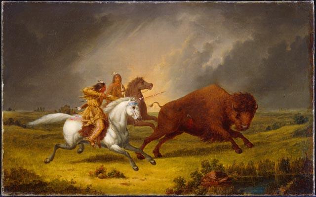 <img typeof="foaf:Image" src="http://statelibrarync.org/learnnc/sites/default/files/images/kane_assiniboine_hunting_buffalo.jpeg" width="640" height="399" alt="Assiniboine hunting buffalo" title="Assiniboine hunting buffalo" />