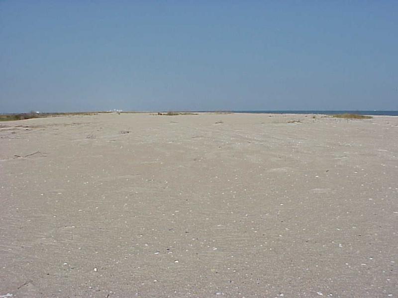 <img typeof="foaf:Image" src="http://statelibrarync.org/learnnc/sites/default/files/images/masonboro_1.jpg" width="1024" height="768" alt="Masonboro Island after hurricane (beach/berm)" title="Masonboro Island after hurricane (beach/berm)" />