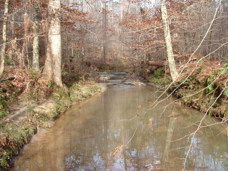 <img typeof="foaf:Image" src="http://statelibrarync.org/learnnc/sites/default/files/images/natural_stream2.jpg" width="1280" height="960" alt="Natural stream" title="Natural stream" /> <img typeof="foaf:Image" src="http://statelibrarync.org/learnnc/sites/default/files/images/natural_stream2.jpg" width="1280" height="960" alt="Natural stream" title="Natural stream" />