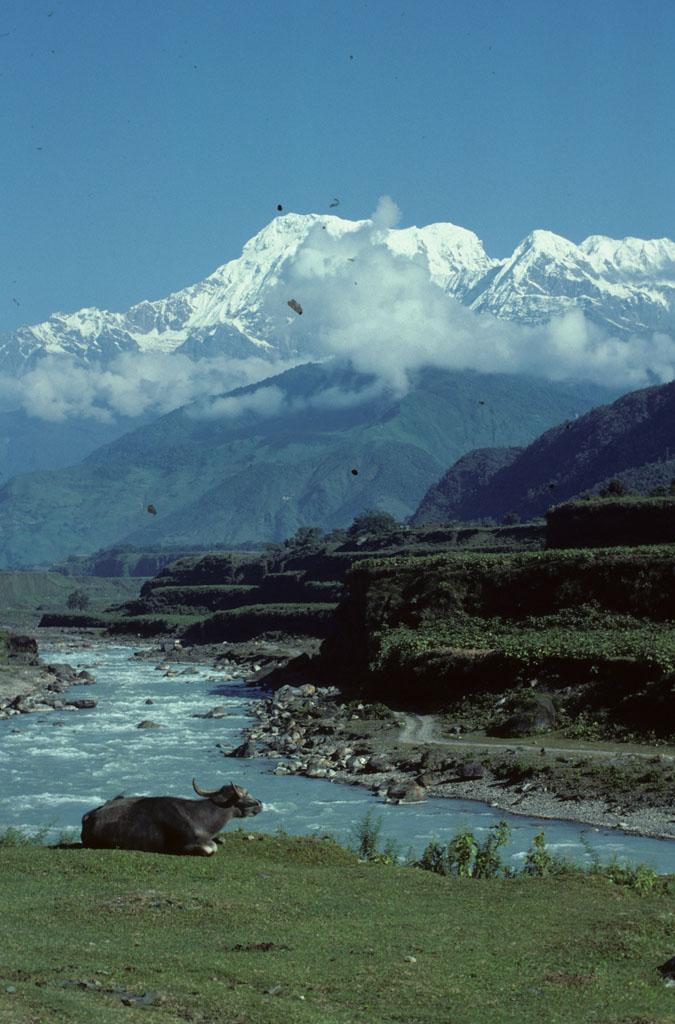 <img typeof="foaf:Image" src="http://statelibrarync.org/learnnc/sites/default/files/images/nepal_012.jpg" width="675" height="1024" /> <img typeof="foaf:Image" src="http://statelibrarync.org/learnnc/sites/default/files/images/nepal_012.jpg" width="675" height="1024" />