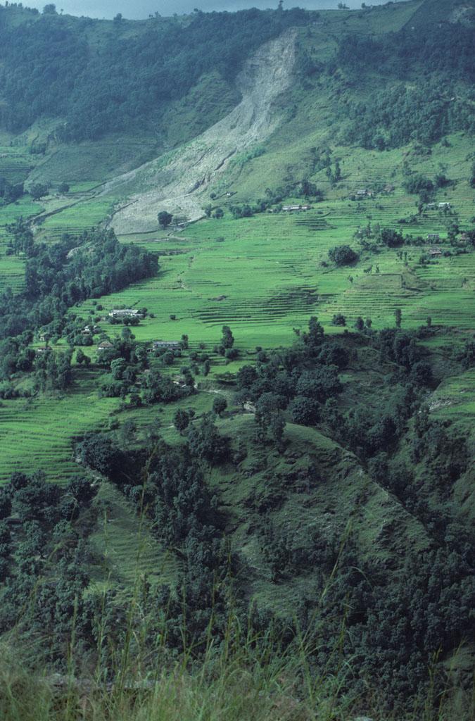 <img typeof="foaf:Image" src="http://statelibrarync.org/learnnc/sites/default/files/images/nepal_031.jpg" width="675" height="1024" alt="Terraced fields of Naudanda, Nepal" title="Terraced fields of Naudanda, Nepal" />