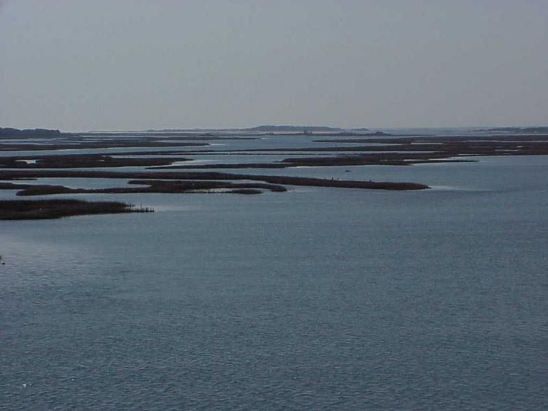 <img typeof="foaf:Image" src="http://statelibrarync.org/learnnc/sites/default/files/images/salt_marsh_boguebank.jpg" width="1024" height="768" alt="Salt marsh behind Bogue Bank just east of Bogue inlet" />