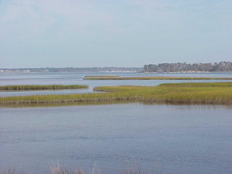 <img typeof="foaf:Image" src="http://statelibrarync.org/learnnc/sites/default/files/images/salt_marsh_hi_saline.jpg" width="1024" height="768" alt="Patches of salt marsh in the high salinity section of the estuary" />