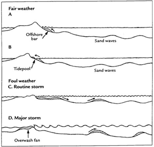 dune diagram