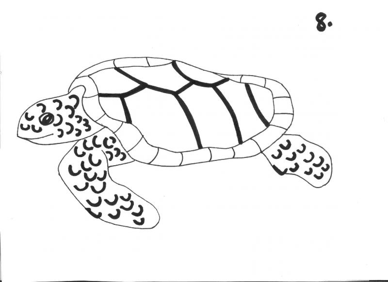 how to draw a sea turtle step by step