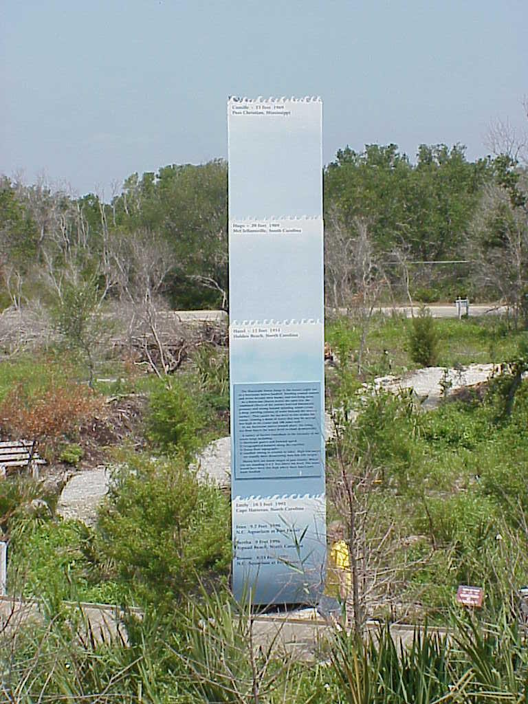 <img typeof="foaf:Image" src="http://statelibrarync.org/learnnc/sites/default/files/images/storm_surge_heights.jpg" width="768" height="1024" alt="Exhibit of hurricane storm surge heights" title="Exhibit of hurricane storm surge heights" />