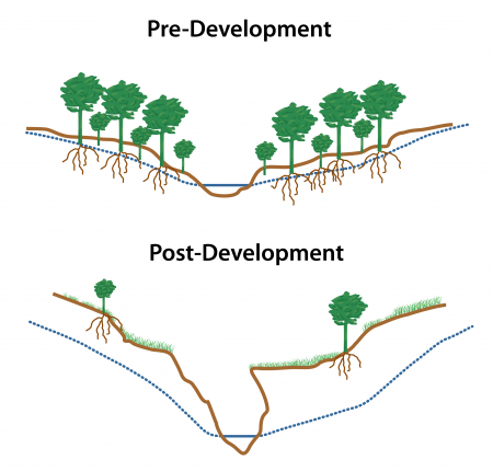 Changes in stream channel shape after development | NCpedia