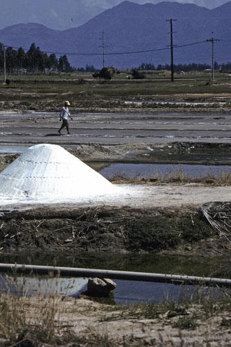 <img typeof="foaf:Image" src="http://statelibrarync.org/learnnc/sites/default/files/images/vietnam_090.jpg" width="333" height="500" alt="Large mound of sea salt south of Nha Trang" title="Large mound of sea salt south of Nha Trang" />