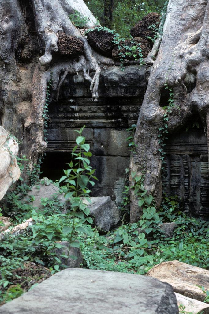 <img typeof="foaf:Image" src="http://statelibrarync.org/learnnc/sites/default/files/images/vietnam_225.jpg" width="683" height="1024" alt="Preah Khan Temple at Angkor" title="Preah Khan Temple at Angkor" />