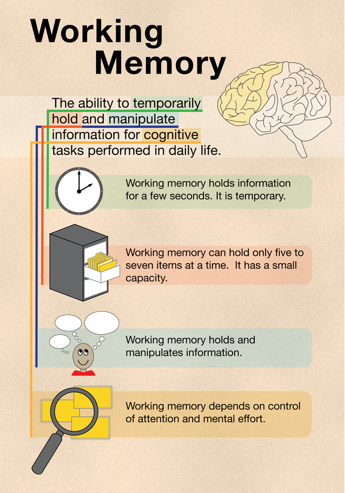 Working Memory: What it is? - Braintrust