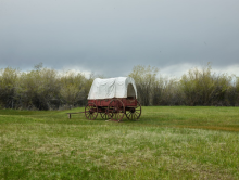 Covered wagon in a field. It is a cloudy day and there are trees in the background. The wagon canopy is white and the carriage is brown. 