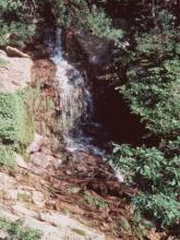 <img typeof="foaf:Image" src="http://statelibrarync.org/learnnc/sites/default/files/images/gorges_creek_0.jpg" width="338" height="450" alt="Gorges Creek, Hanging Rock" title="Gorges Creek, Hanging Rock" />