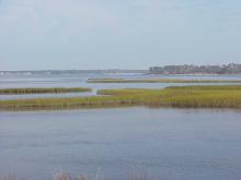 <img typeof="foaf:Image" src="http://statelibrarync.org/learnnc/sites/default/files/images/salt_marsh_hi_saline.jpg" width="1024" height="768" alt="Patches of salt marsh in the high salinity section of the estuary" />